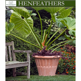 Fluted Flower Pot
