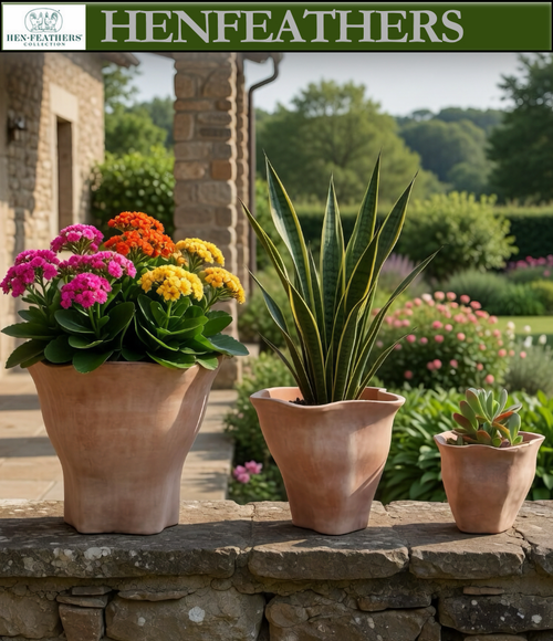 Foxglove Planter - Terra Cotta - Set of 3