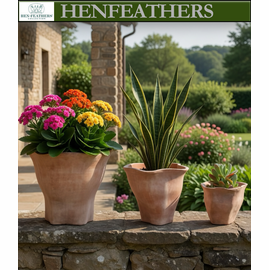 Foxglove Planter - Terra Cotta - Set of 3