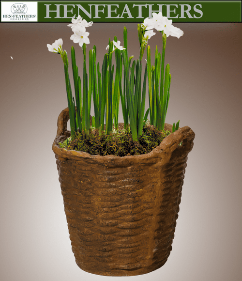 French Basket Planter 14"