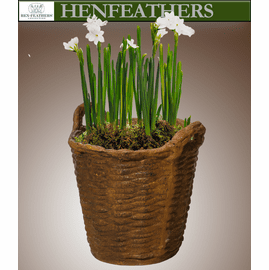 French Basket Planter 14"