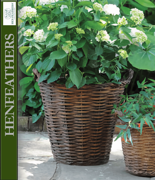 French Basket Planter 22 {USA}n