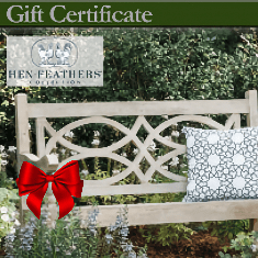 Gift Certificates 🎁