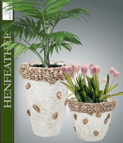 Hampton Oyster Shell Planter