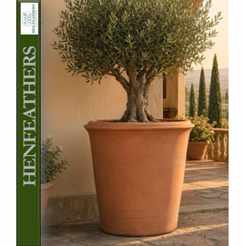 Las Palmeras Planter