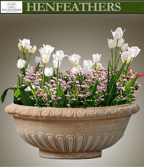 Lavanda Bowl