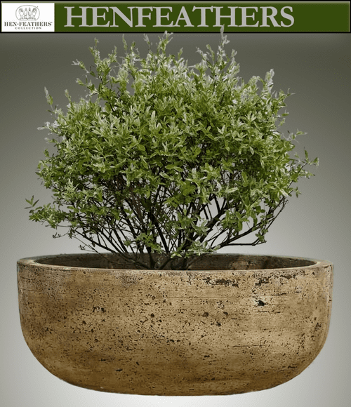 Mesa Planter - Large