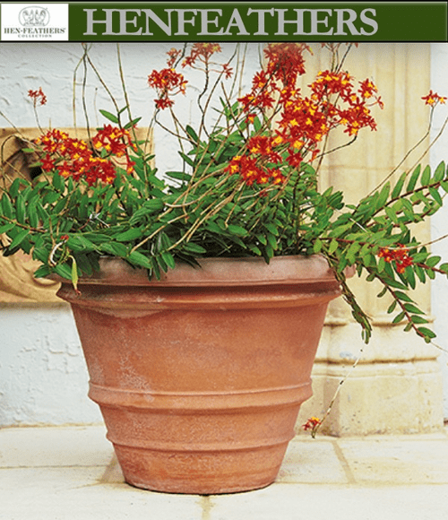 Molded Rolled Rim Vase