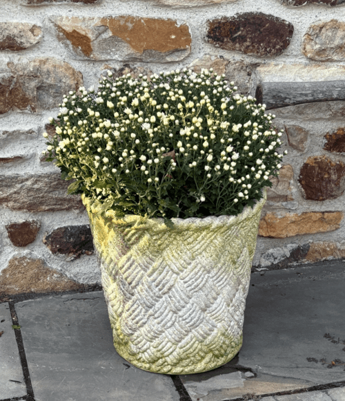 Narbonne Weave Basket Planter {USA}n