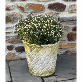 Narbonne Weave Basket Planter {USA}n