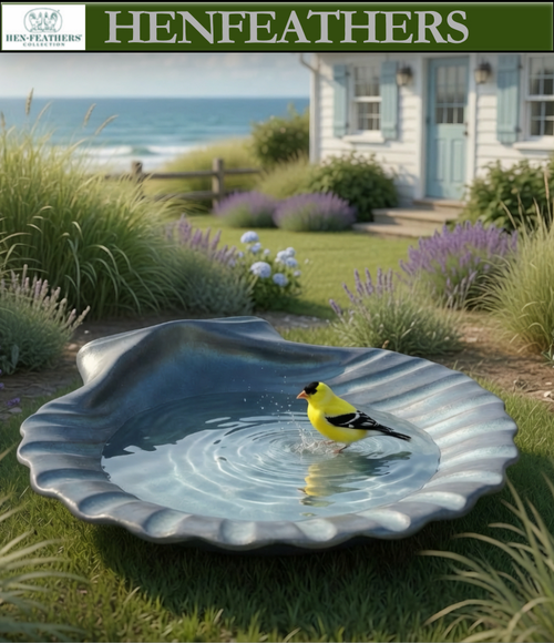 Natural Scallop Shell Birdbath / Vessel