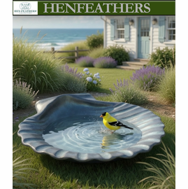 Natural Scallop Shell Birdbath / Vessel