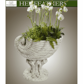 Nautical Shell Planter