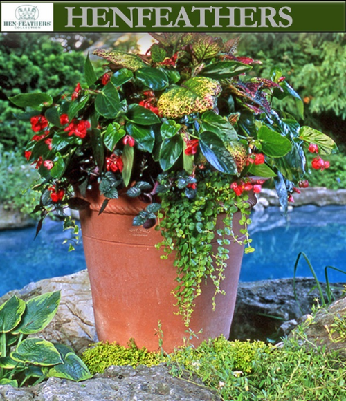 Peale Pot by Guy Wolff