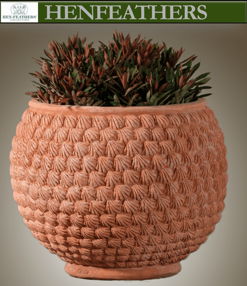 Shell Pot