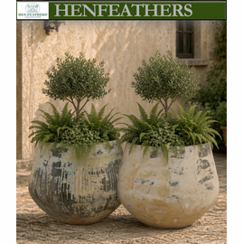 Solonos Terracotta Planter