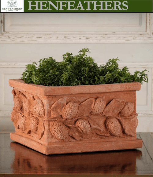 Square Lemon Box