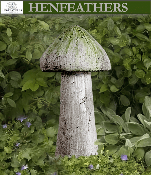 Tall Pinewood Mushroom {USA} n