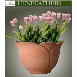 Tulip Planter