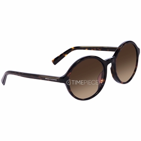 Armani Exchange AX4101SF 803713 55  Ladies  Sunglasses