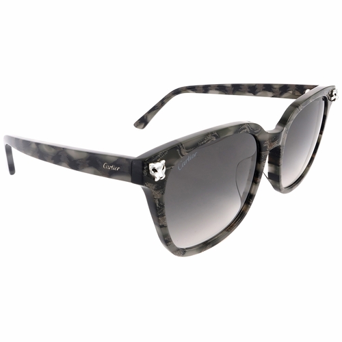 Cartier CT0143SA-004  Ladies  Sunglasses