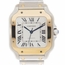 Cartier W2SA0016 Santos Ladies Automatic Watch