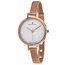 Christian Van Sant CV0281 Grace Ladies Quartz Watch