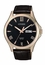 Citizen BF2023-01H  Mens Quartz Watch