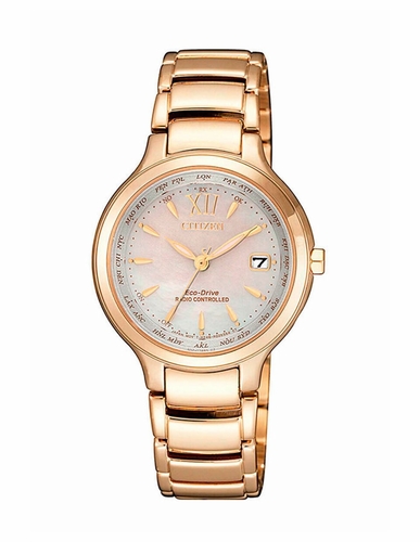Citizen EC1173-87D  Ladies Eco-Drive Watch