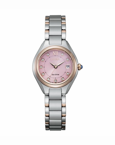 Citizen EW2546-87X  Ladies Eco-Drive Watch