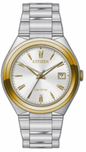 Citizen FE6024-55B  Ladies Eco-Drive Watch
