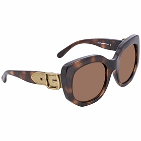 Coach HC8228 550073 53    Sunglasses