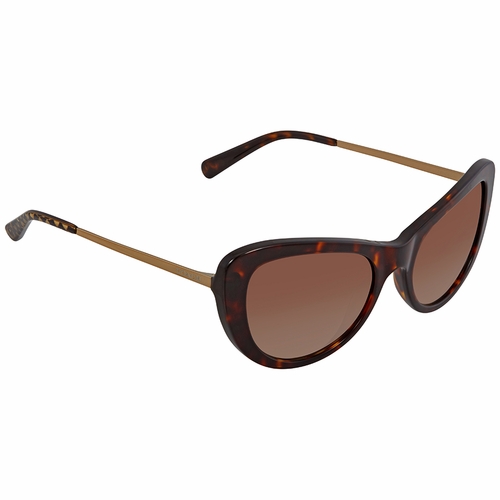 Coach HC8247 541713 53  Ladies  Sunglasses