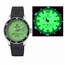 Deep Blue ALPHAMRINELUMEDIALGREENSTRP Alpha Marine Mens Automatic Watch