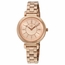 DKNY NY2584 Ellington Ladies Quartz Watch