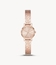 DKNY NY2884 Soho Ladies Quartz Watch