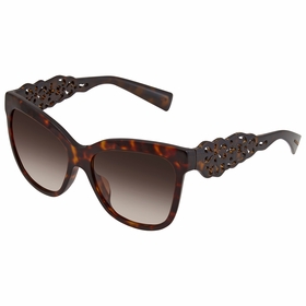 Dolce and Gabbana DG4264F 502/13  Ladies  Sunglasses