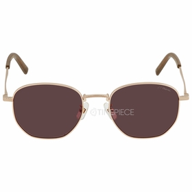 Dupont DP 6654 3 55  Ladies  Sunglasses