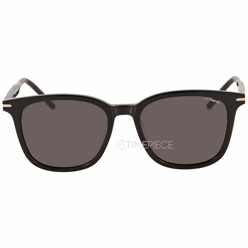 Dupont DP 6665 1 53 Unisex Sunglasses Dupont DP 6665 1 53 Unisex Sunglasses
