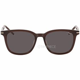 Dupont DP 6665 2 53  Unisex  Sunglasses