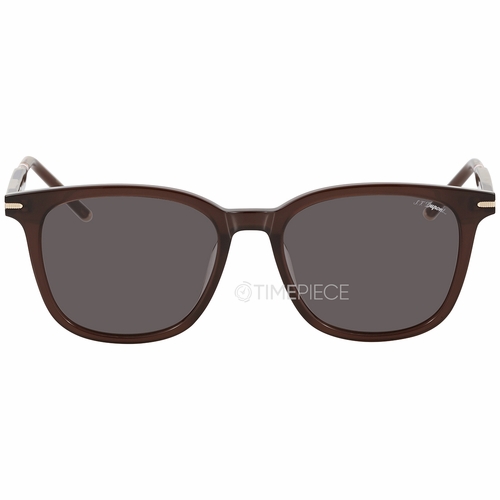 Dupont DP 6665 2 53 Unisex Sunglasses Dupont DP 6665 2 53 Unisex Sunglasses
