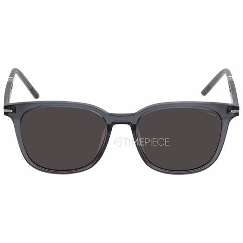 Dupont DP 6665 4 53 Unisex Sunglasses Dupont DP 6665 4 53 Unisex Sunglasses