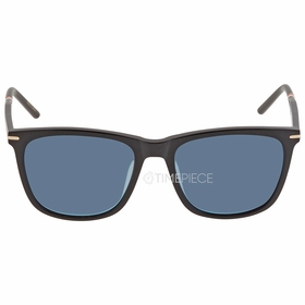 Dupont DP 6667 3 56  Unisex  Sunglasses