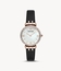 Emporio Armani AR11295  Ladies Quartz Watch