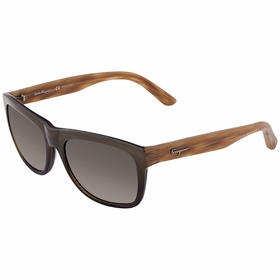 Salvatore Ferragamo SF686S31856 SF686S Mens  Sunglasses