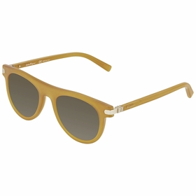 Salvatore Ferragamo SF787S 729 51 SF787S   Sunglasses
