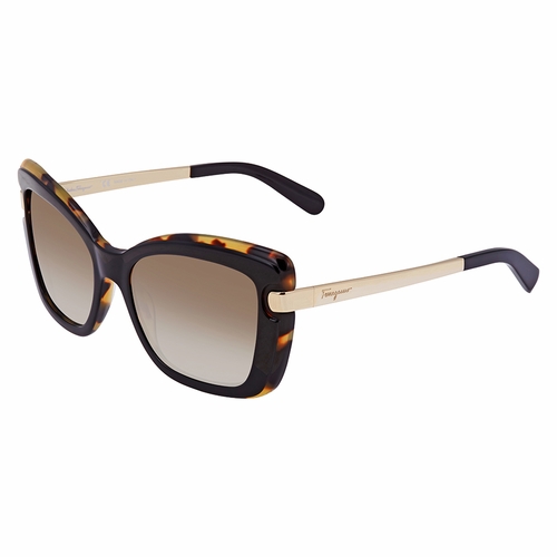 Salvatore Ferragamo SF814S 006 54 SF814S   Sunglasses