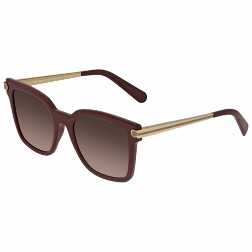 Salvatore Ferragamo SF832S60652  Ladies  Sunglasses