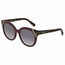 Salvatore Ferragamo SF836S 520 53    Sunglasses
