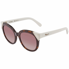 Salvatore Ferragamo SF836S21553  Ladies  Sunglasses